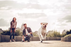 bigstock-Couple-On-A-Walk-With-Dog-205048642