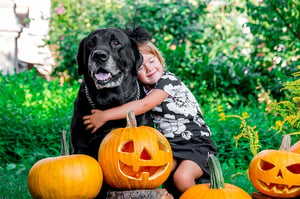 bigstock-Halloween-Child-Dressed-In-Bl-144626729-1