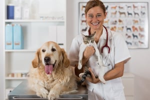 bigstock-Veterinary-Clinic-98187251